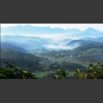 宁静的乡村