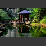 庭院晨景3