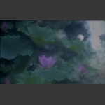 清风荷韵10