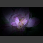 殇2