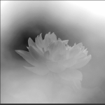 绰约2