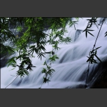 秋日恋曲