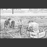 打谷时节