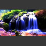 山水情