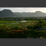 台湾乡村掠影6