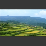 美丽乡村