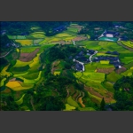 丰收田园