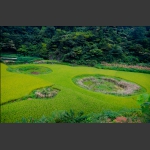 圆盘