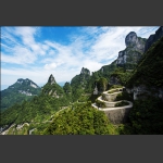 .通天仙道