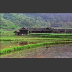 春1
