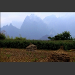 亲近崇山之秋到崇山