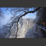 冬雪