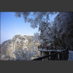 冬雪
