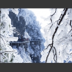 冬雪