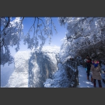 冬雪