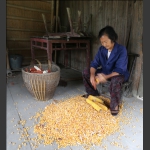 剥包谷