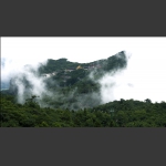 《踏雾而来》