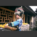 又是丰收年