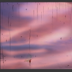 霞浦晨光