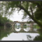 河阳小景