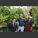 聪明灵泛善歌舞