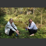 九龙山是湘鄂渝黔边区百县奇特的即将开发的旅游胜地。