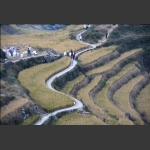 山乡梯田