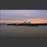 浦江晨景