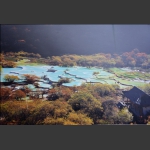 黄龙、九寨沟观光随影