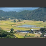 秀丽田园