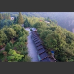 天子山的春色