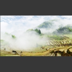 雾漫梯田