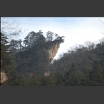 玉笔佛的思路 是商会主席的作品