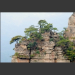鬼虎神功天子山