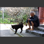 留守老人