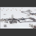 关东雪屯儿-----邱家岗
