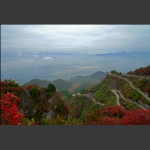 崇山红叶