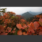 锦绣崇山1