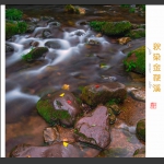 知  秋