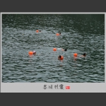 冬泳