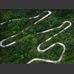 通天道