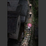 在雨中
