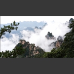 美不胜收