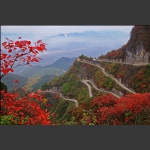 崇山红叶