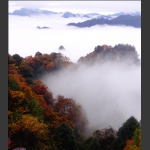 张家界深秋