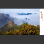 醉美天子山1