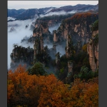 天子山秋色