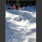 春雪送福