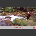 畅游金鞭溪
