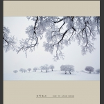 雪野苍茫
